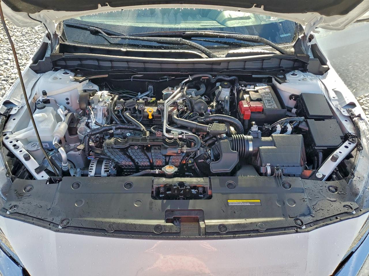 2025 NISSAN ALTIMA SL photo 11