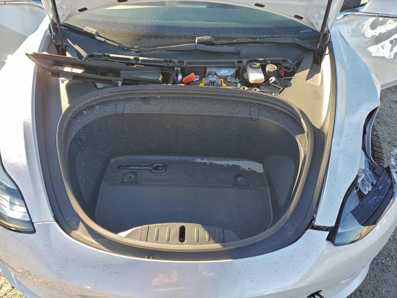 2019 TESLA MODEL 3 photo 11
