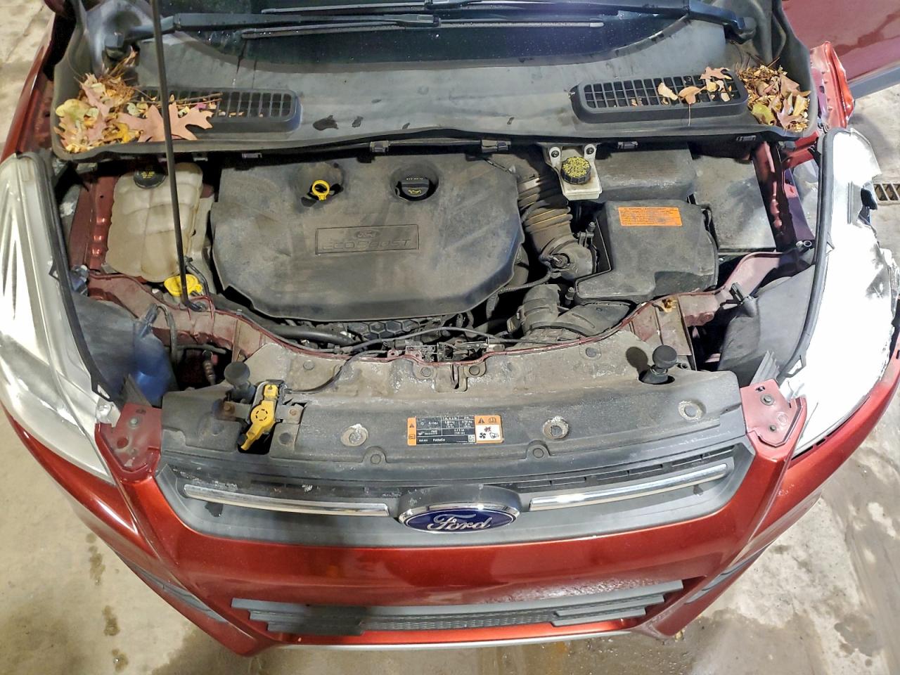 2014 FORD ESCAPE SE photo 12
