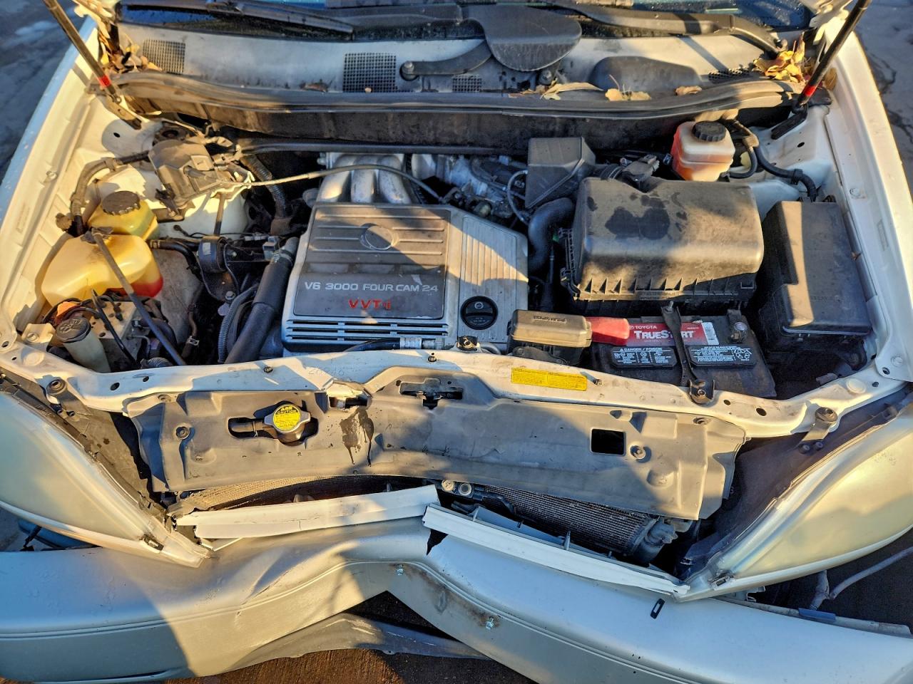 2002 LEXUS RX 300 photo 12