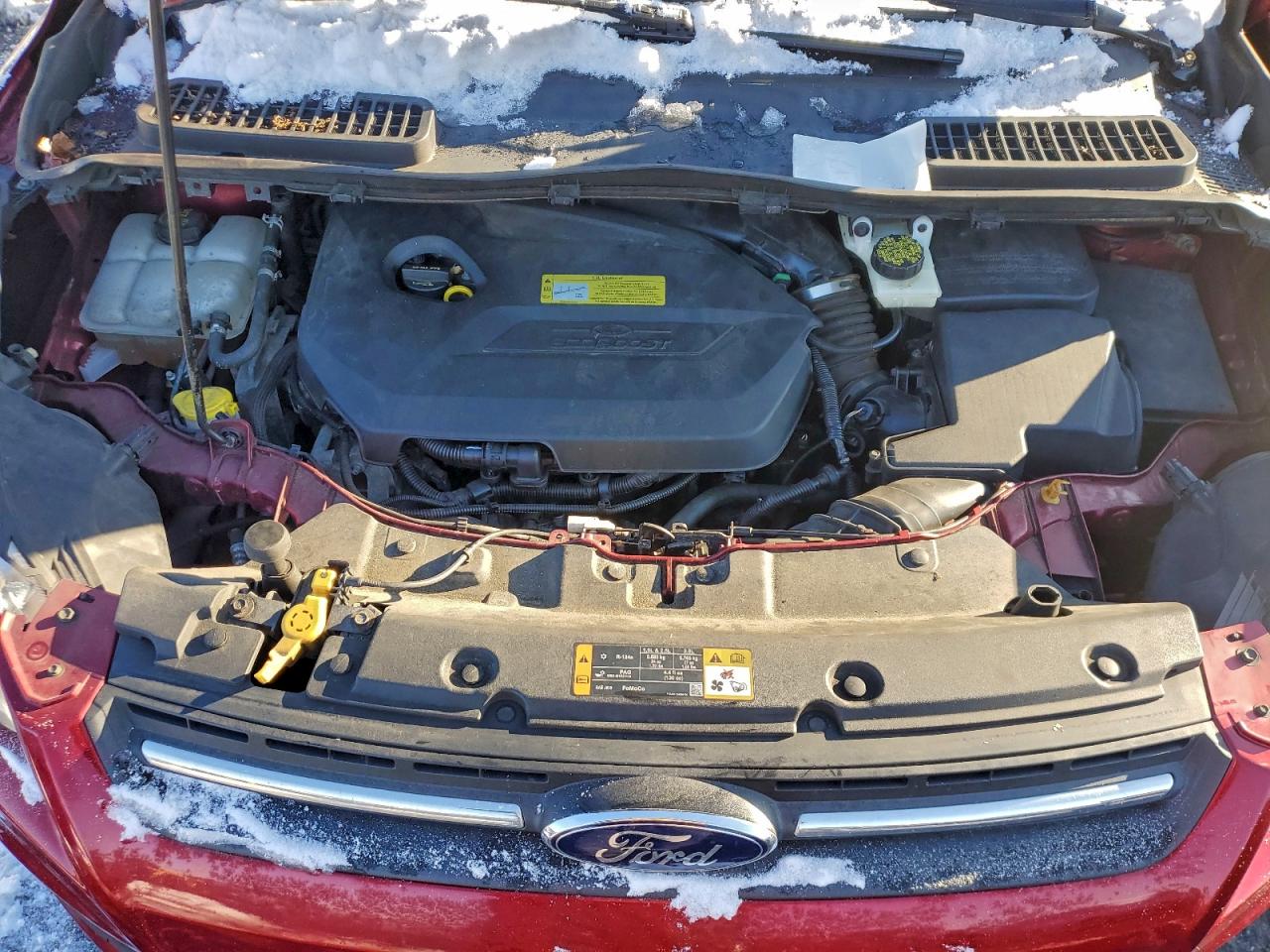 2014 FORD ESCAPE SE photo 11