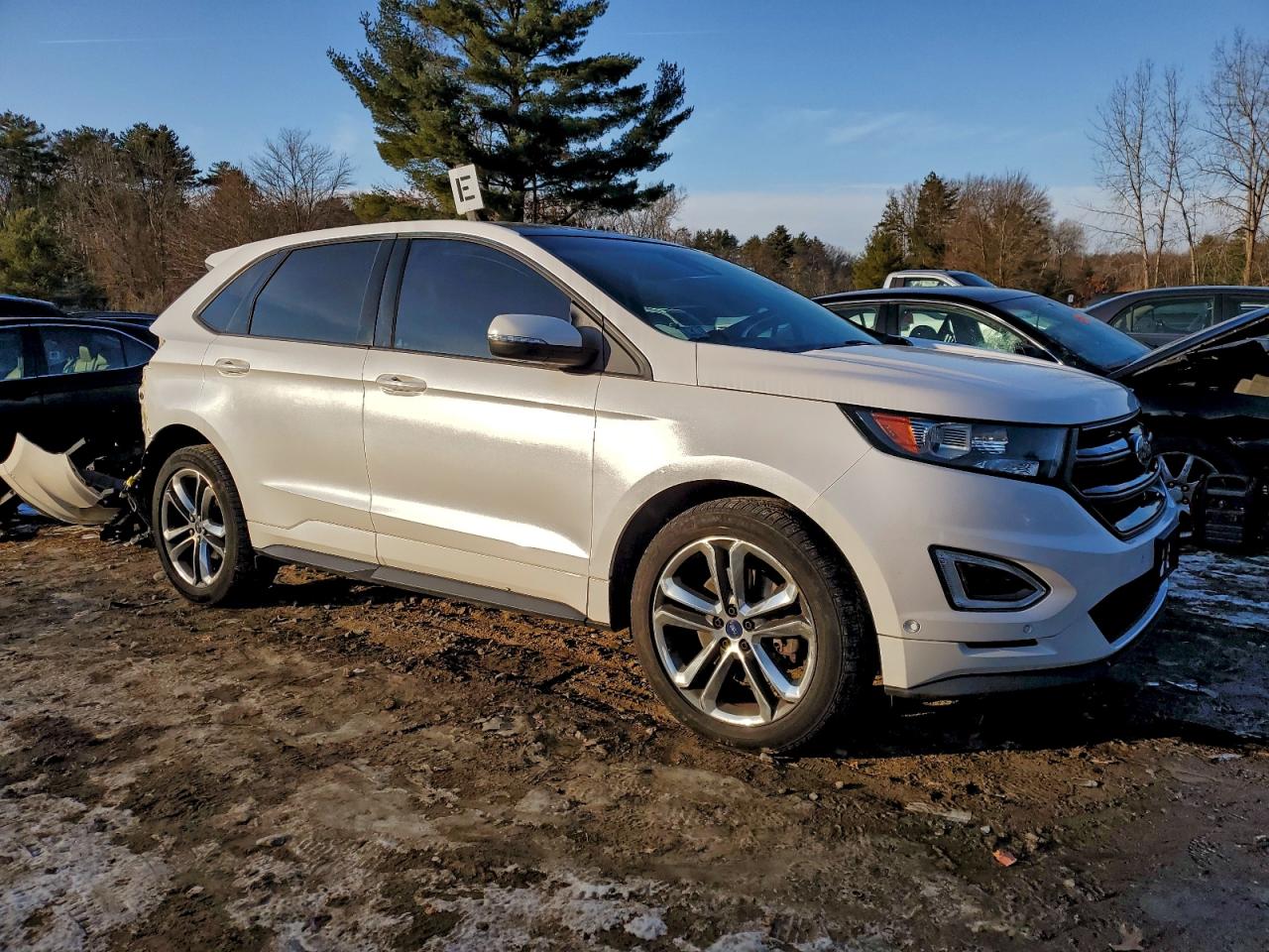 2015 FORD EDGE SPORT photo 10