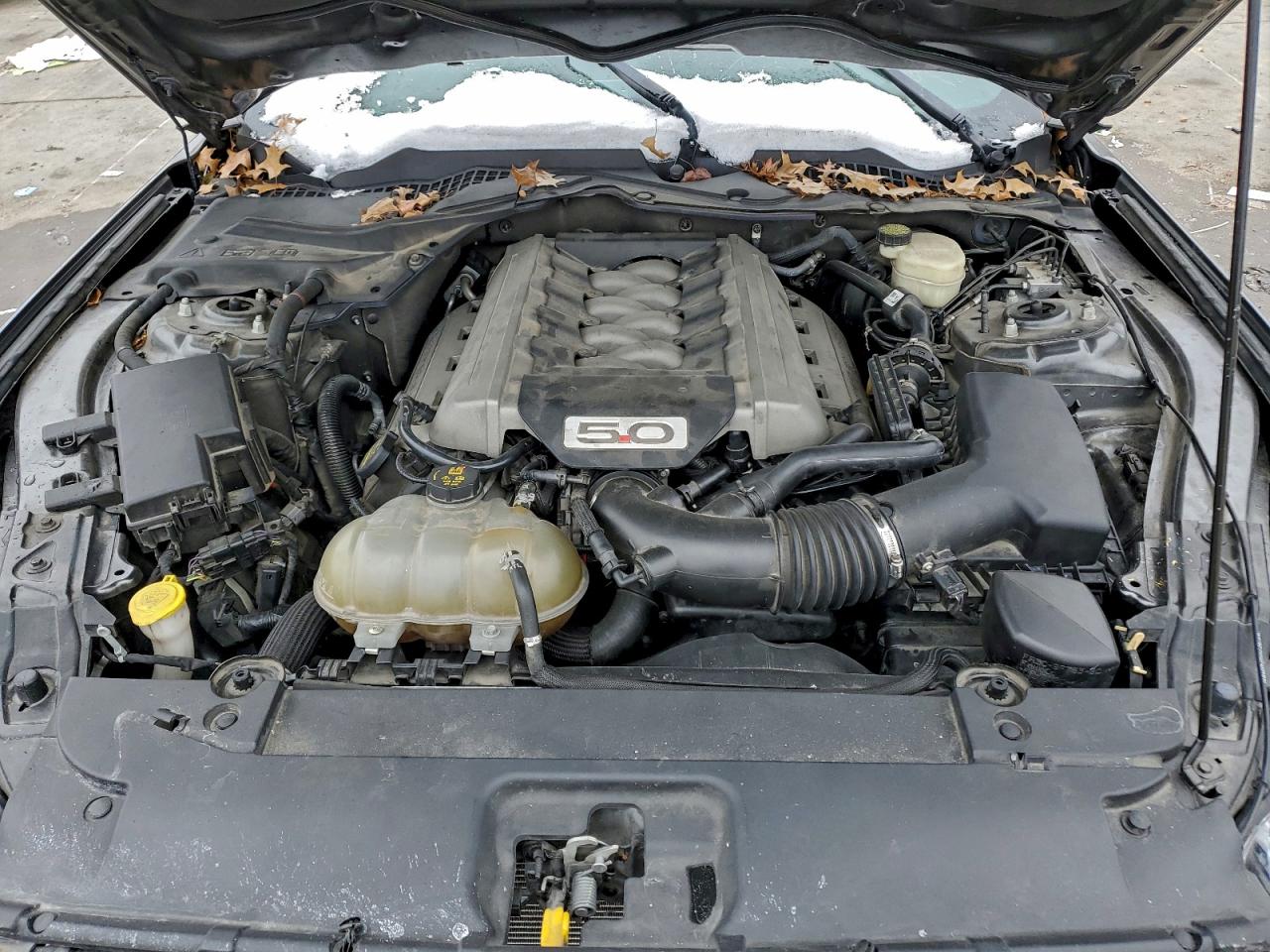 2015 FORD MUSTANG GT photo 11