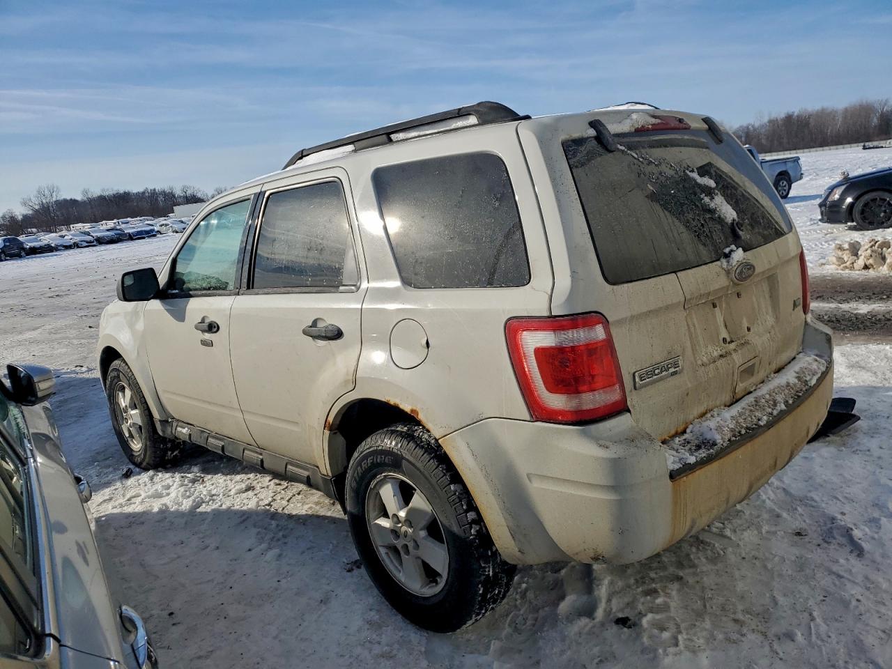 2010 FORD ESCAPE XLT photo 2