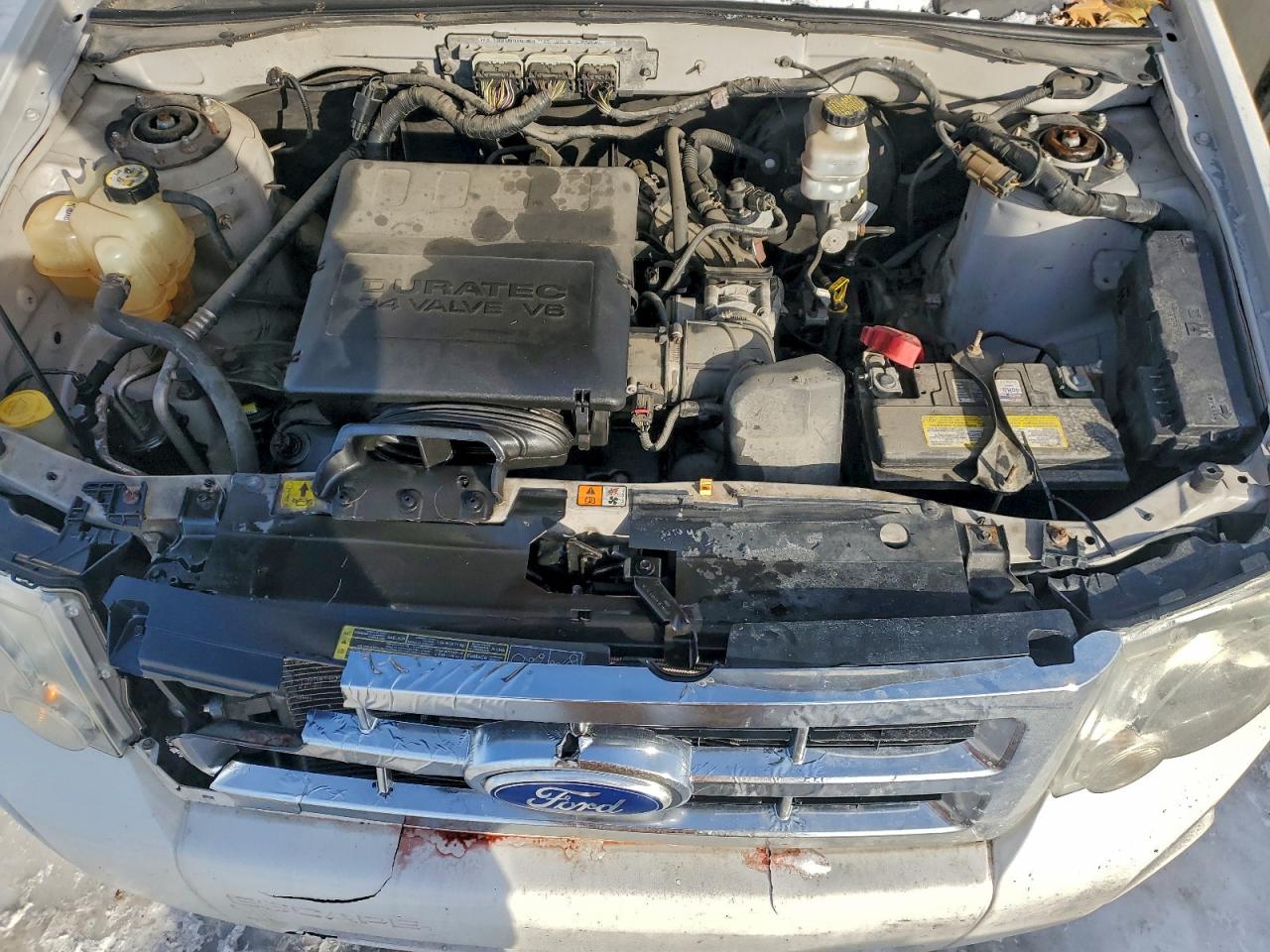 2010 FORD ESCAPE XLT photo 12