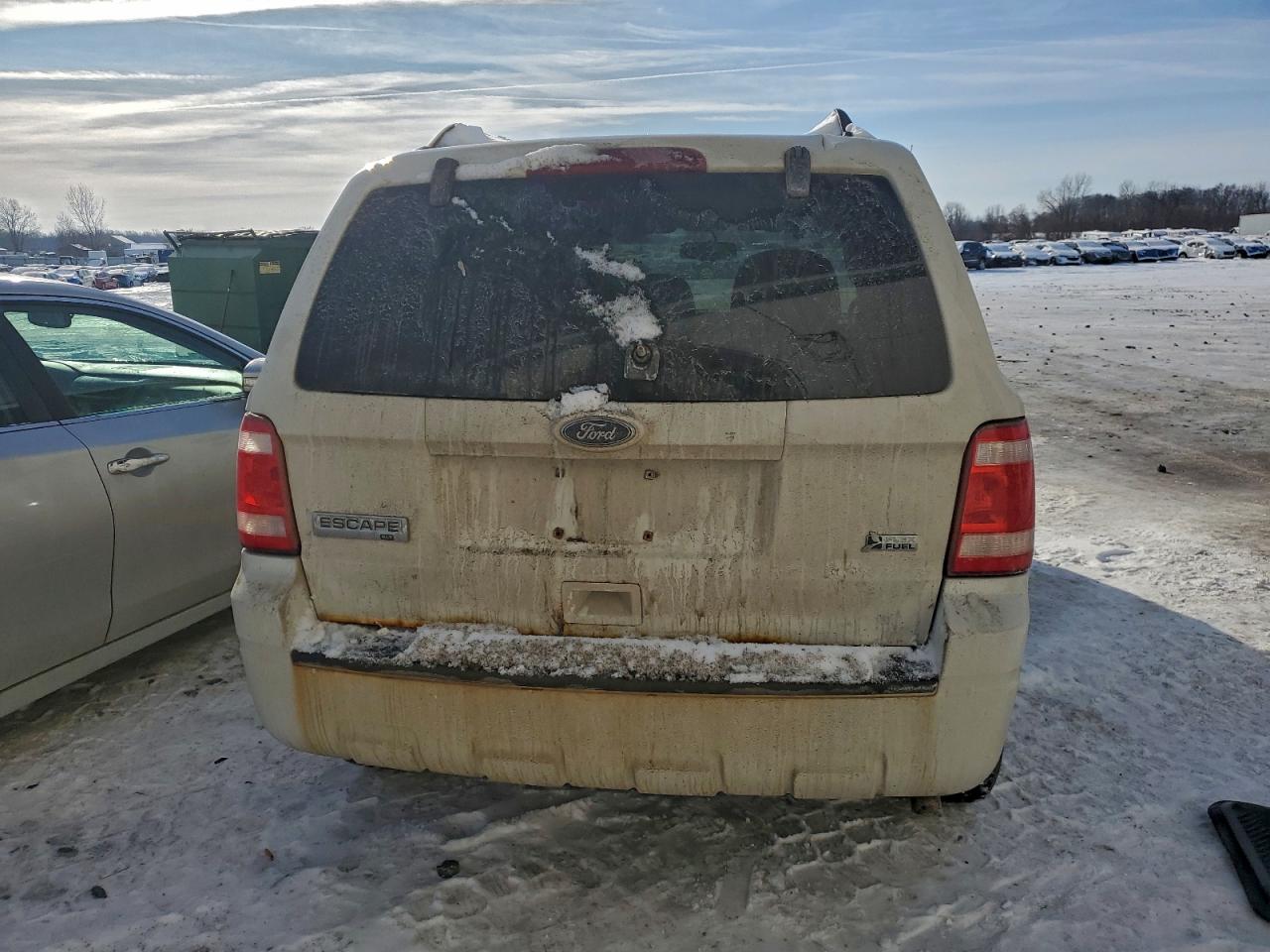 2010 FORD ESCAPE XLT photo 6
