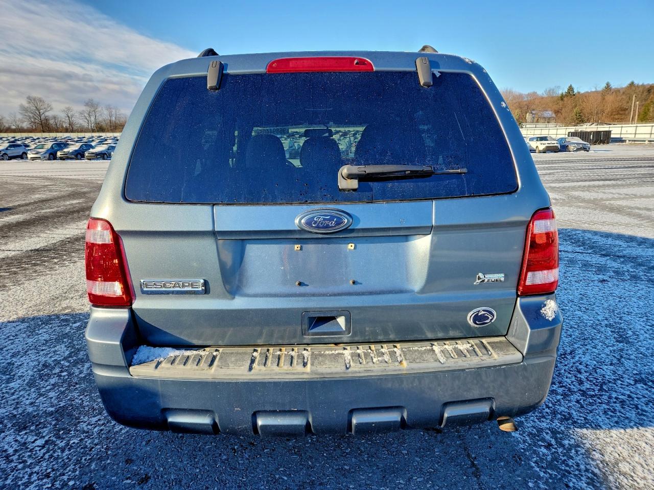 2010 FORD ESCAPE XLT photo 11