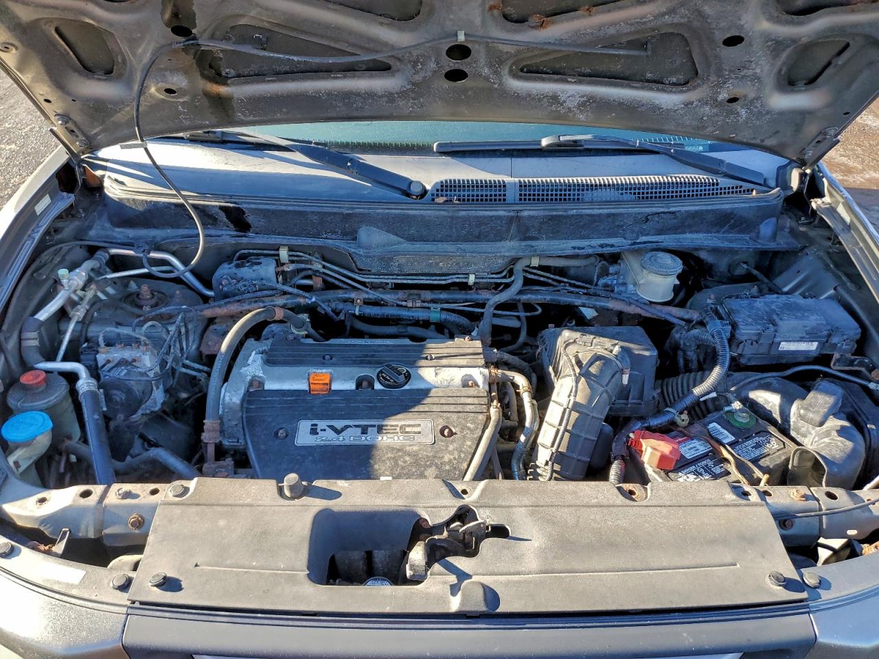 2007 HONDA ELEMENT EX photo 11