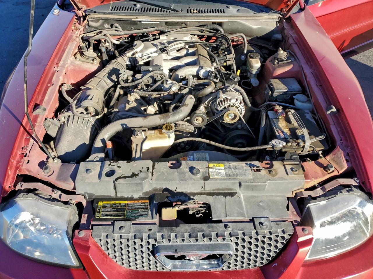 2002 FORD MUSTANG photo 11