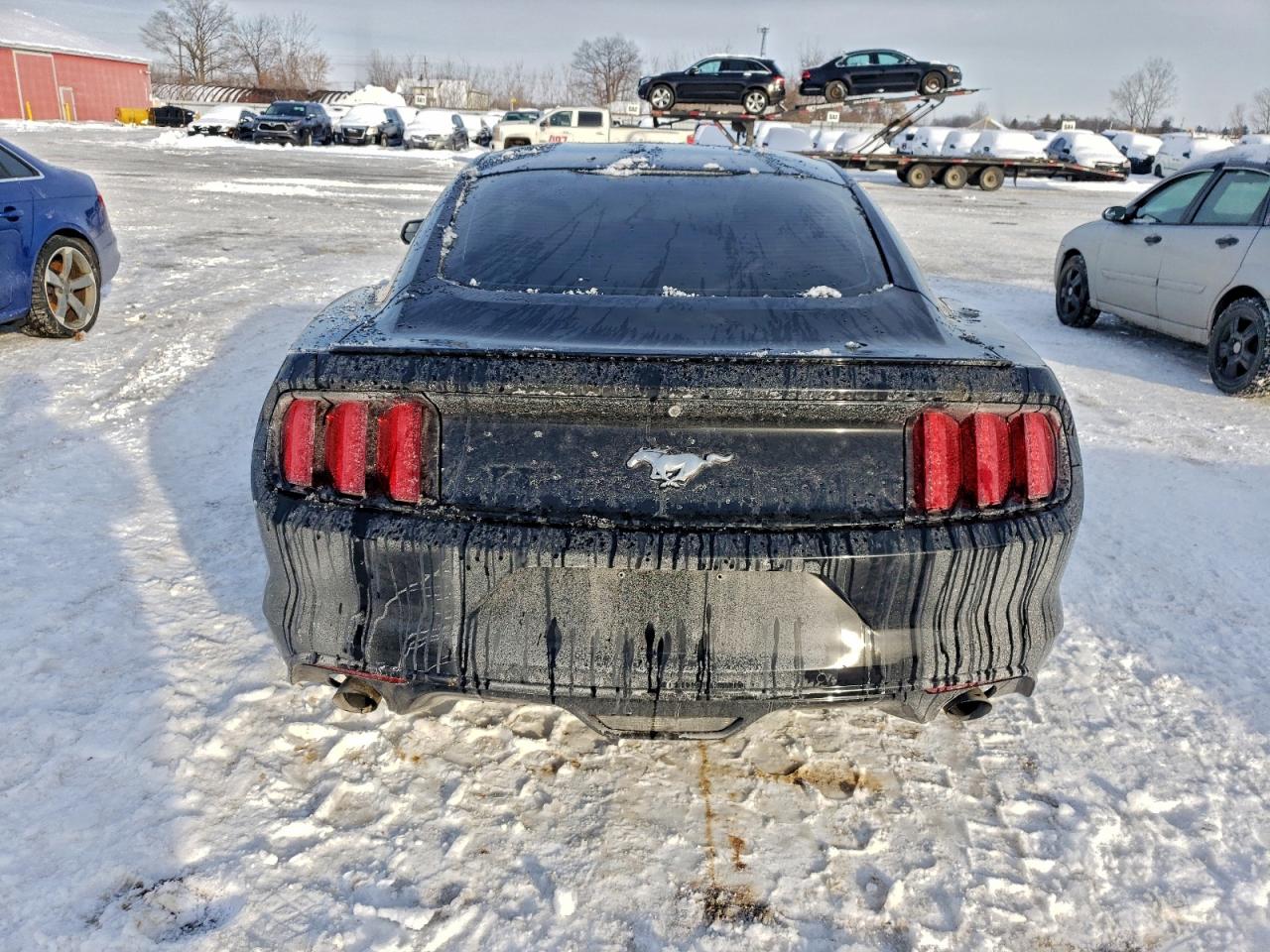 2017 FORD MUSTANG photo 11