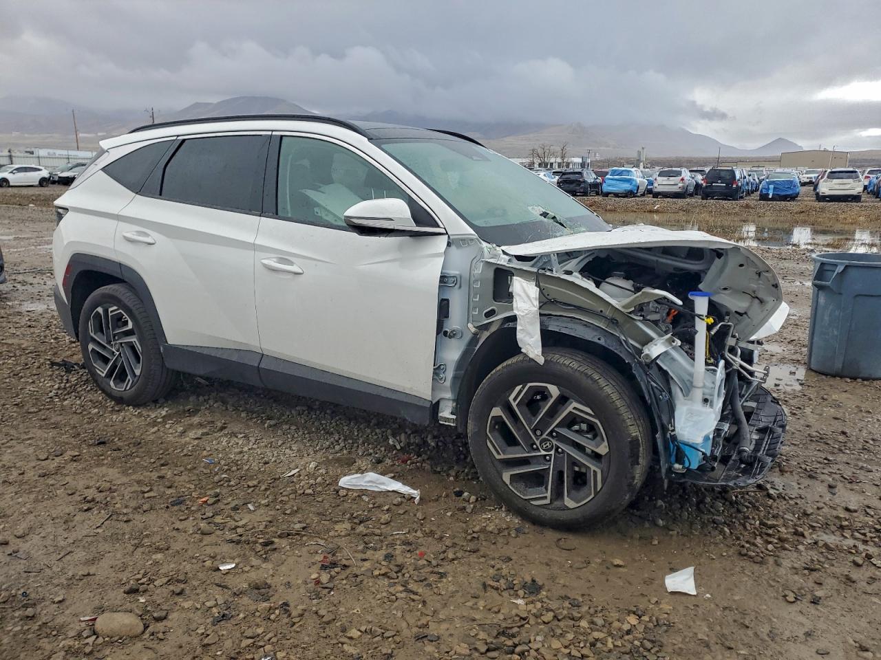 2025 HYUNDAI TUCSON LIMITED photo 4