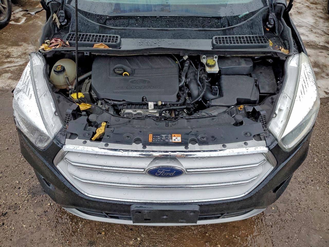 2018 FORD ESCAPE SE photo 11