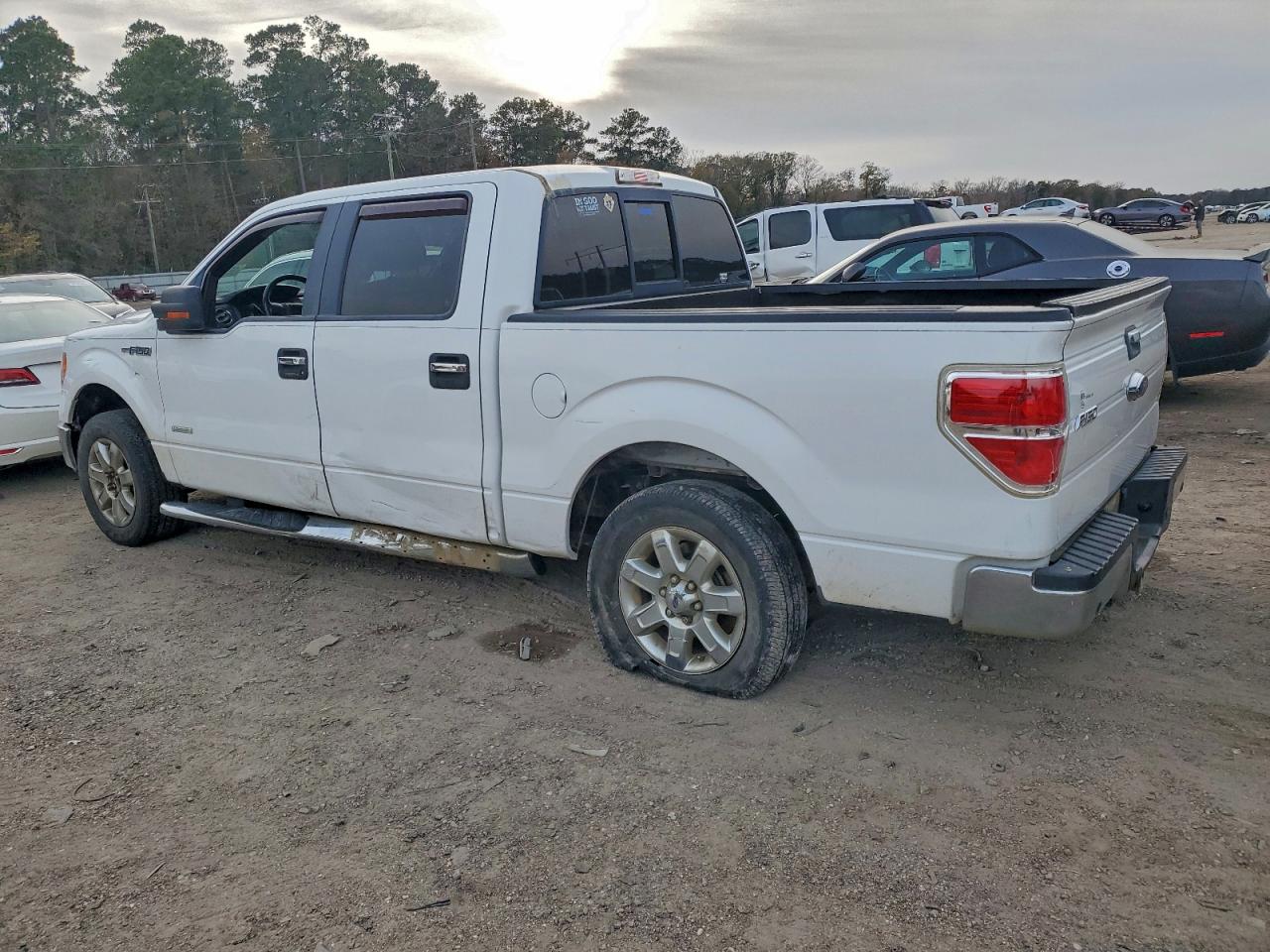 2014 FORD F150 SUPERCREW photo 2