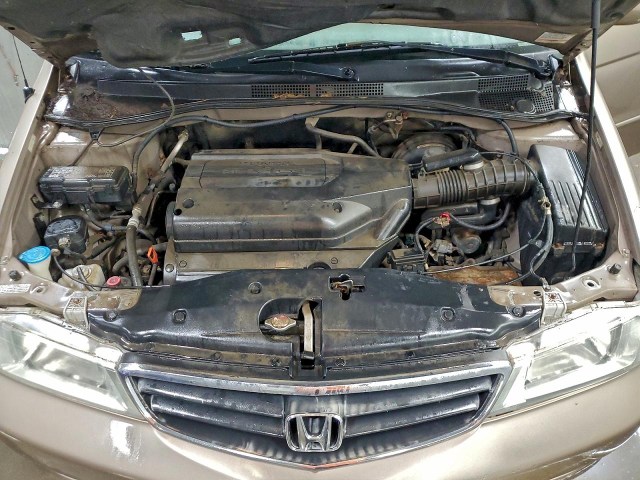 2004 HONDA ODYSSEY EX photo 11