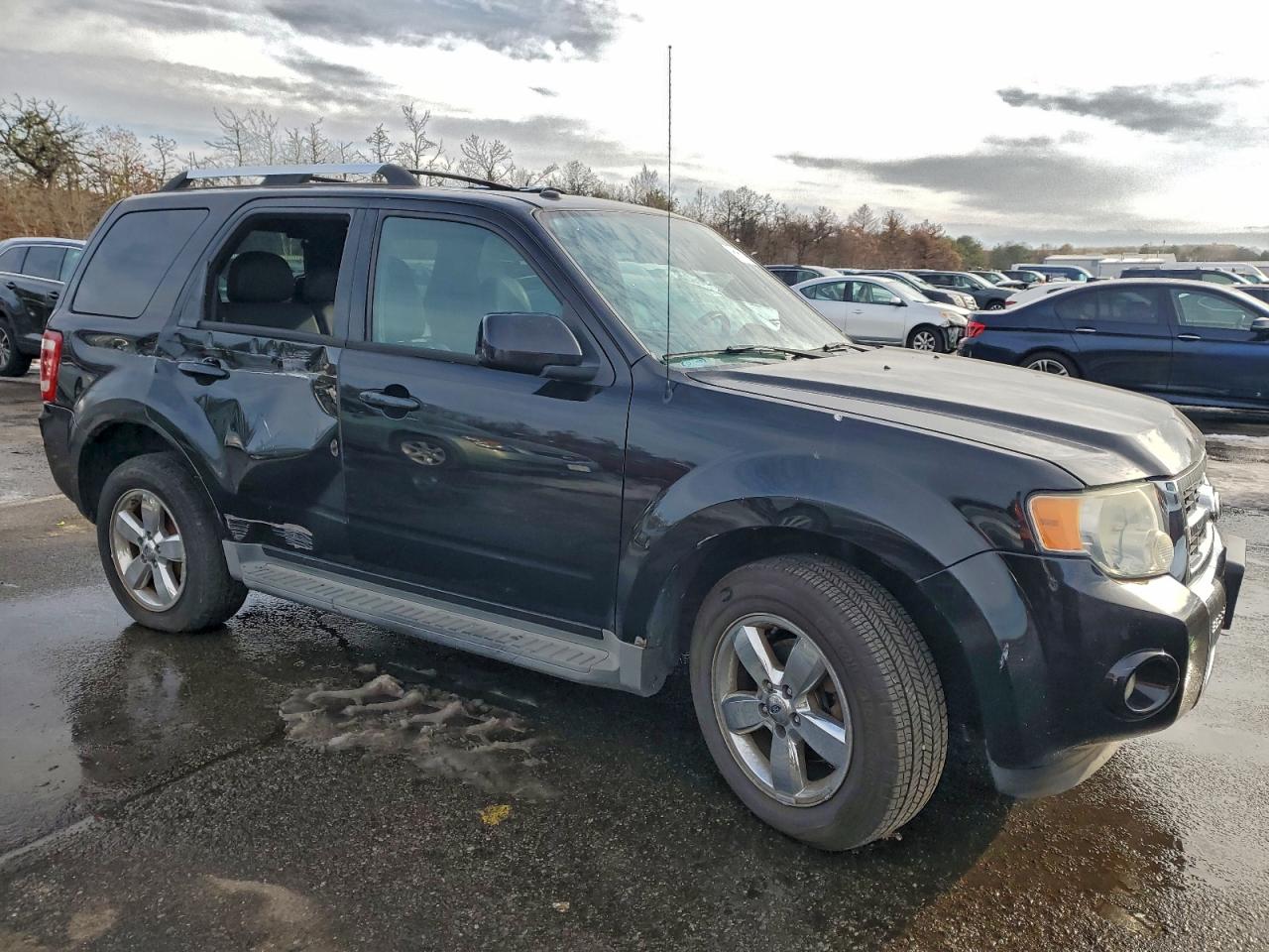 2010 FORD ESCAPE LIMITED photo 4
