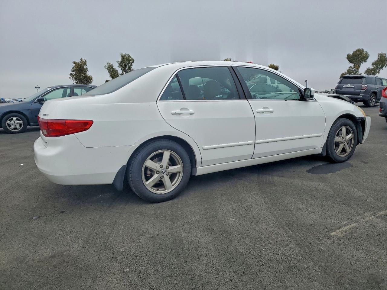 2005 HONDA ACCORD EX photo 3