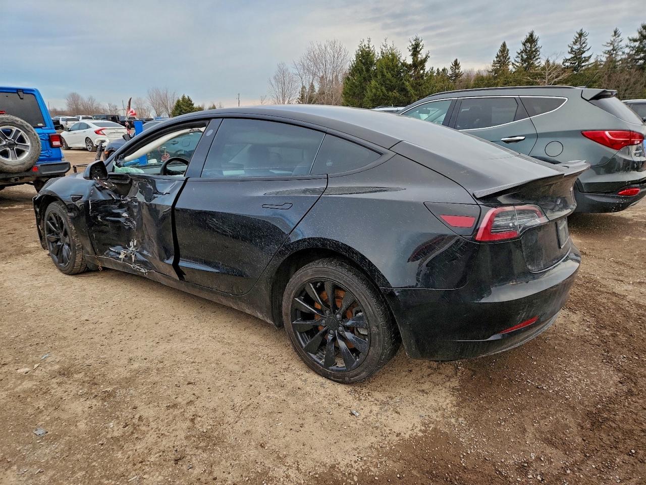 2023 TESLA MODEL 3 photo 2