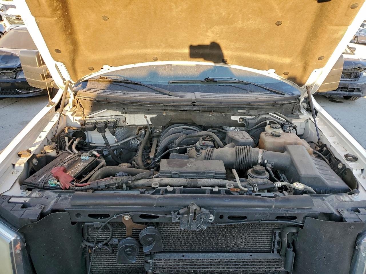 2010 FORD F150 SUPERCREW photo 11