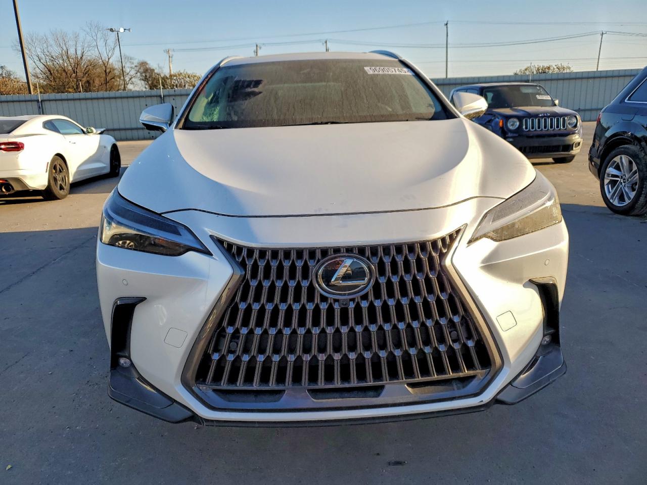 2025 LEXUS NX 250 PREMIUM photo 5