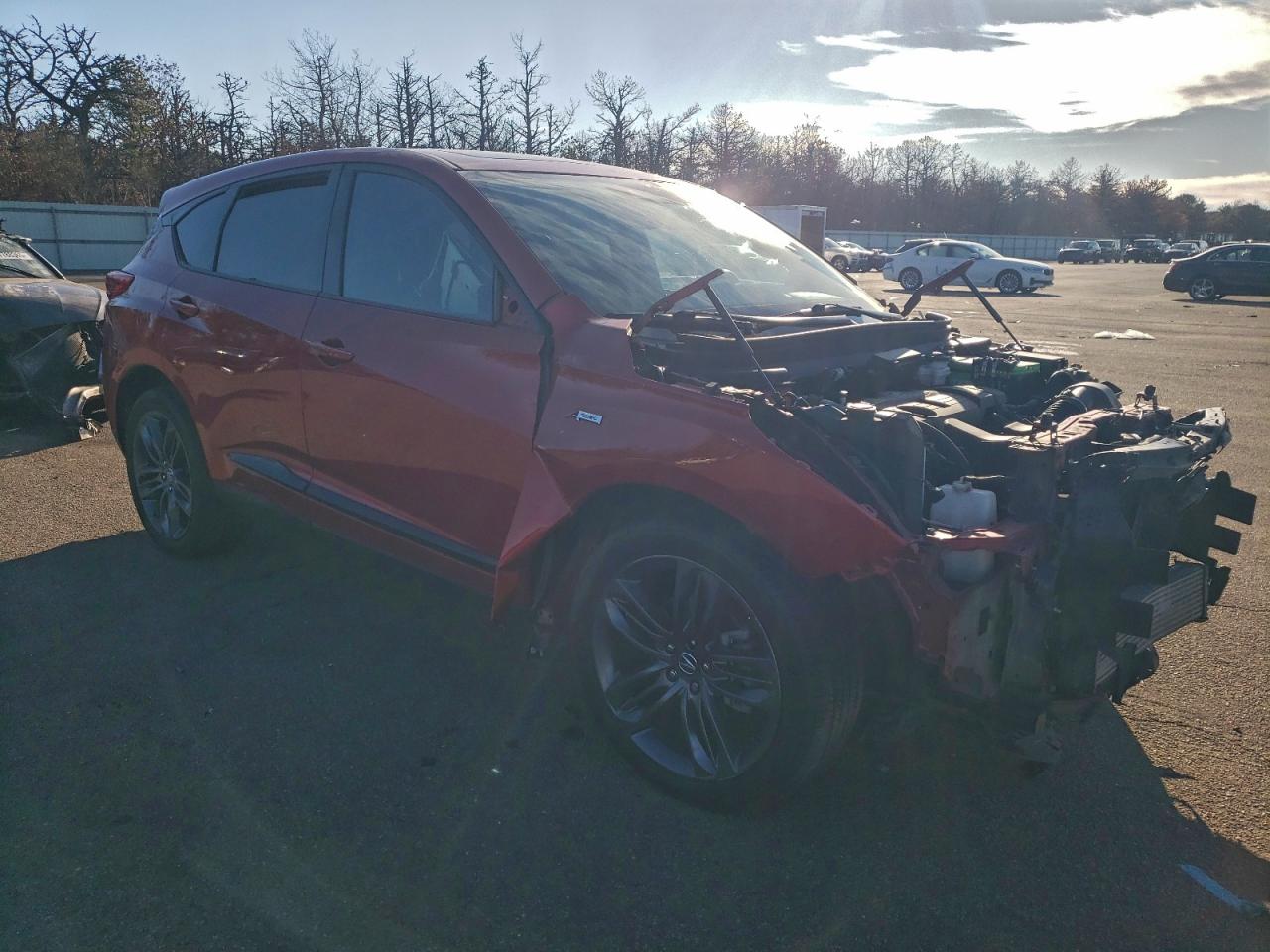 2019 ACURA RDX A-SPEC photo 4