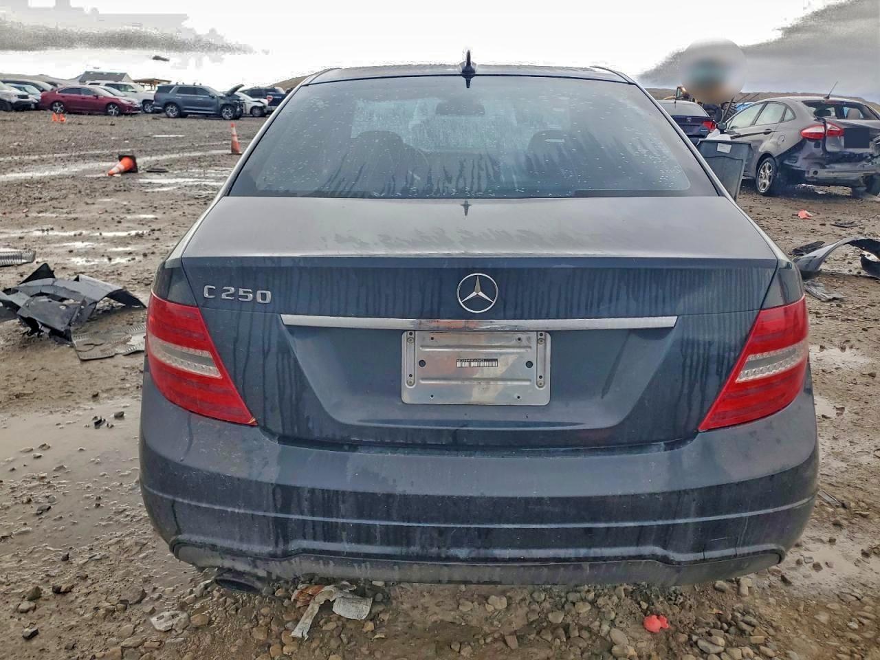 2014 MERCEDES-BENZ C 250 photo 6