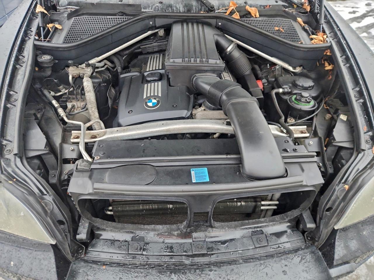 2010 BMW X5 XDRIVE30I photo 12