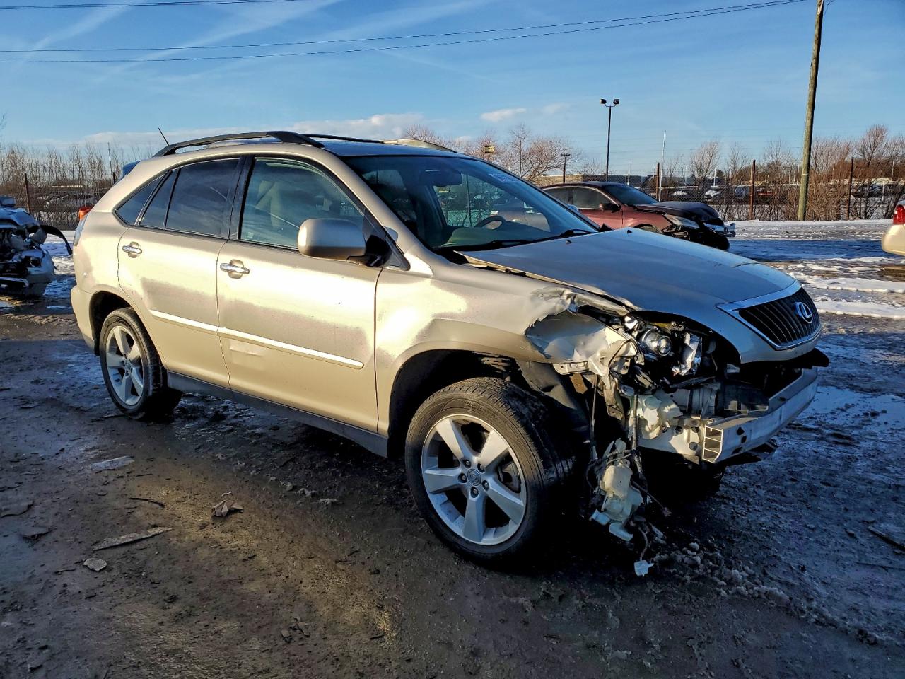 2008 LEXUS RX 350 photo 4