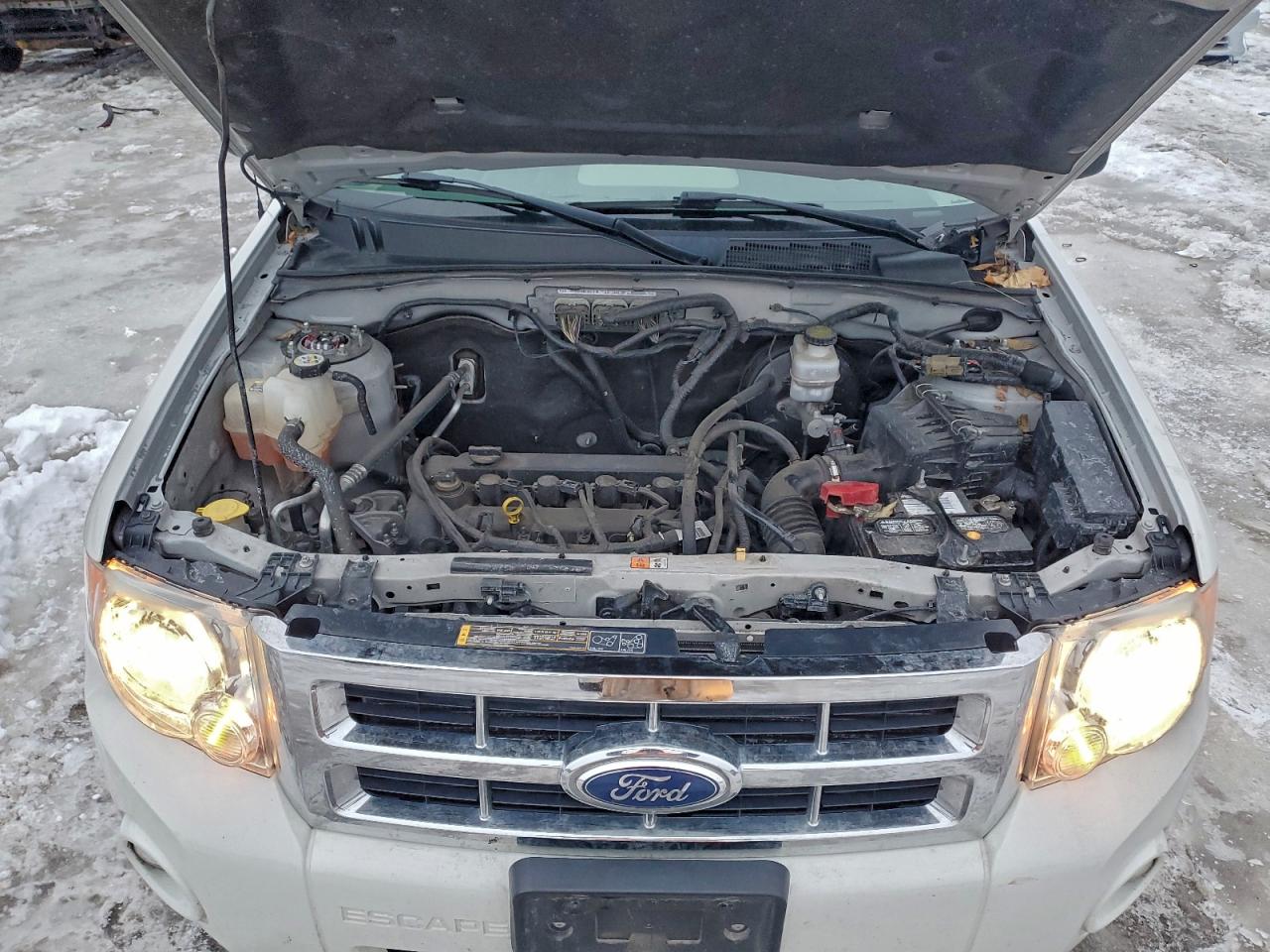 2012 FORD ESCAPE XLT photo 11