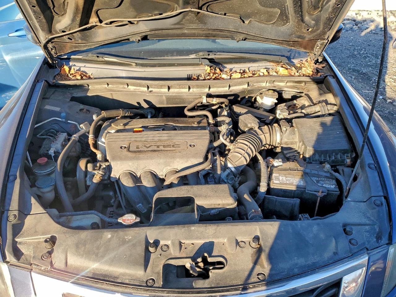 2009 HONDA ACCORD LXP photo 11