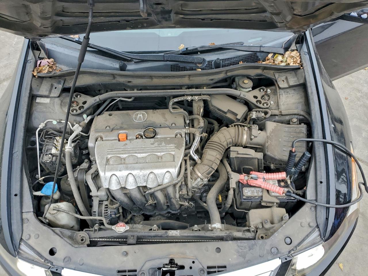 2013 ACURA TSX SE photo 11