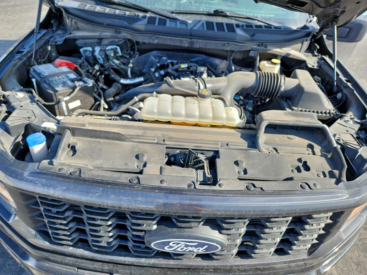 2024 FORD F150 STX photo 11