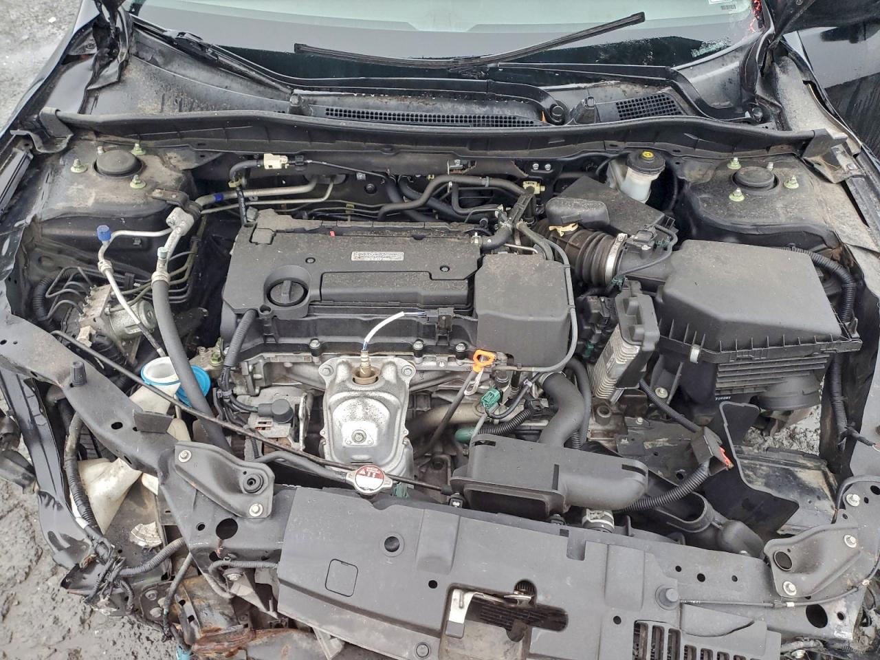 2017 HONDA ACCORD LX photo 11
