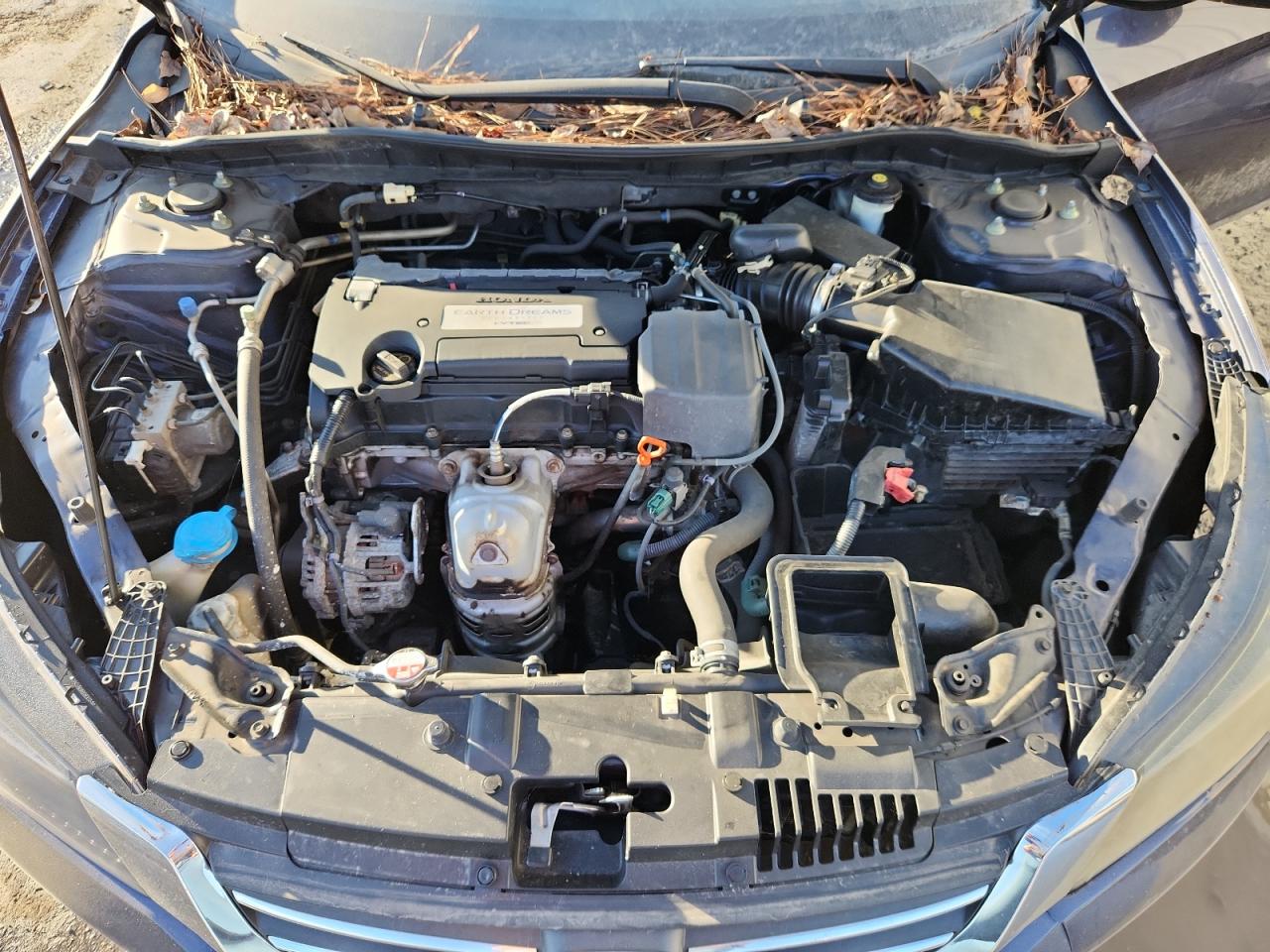 2014 HONDA ACCORD LX photo 11