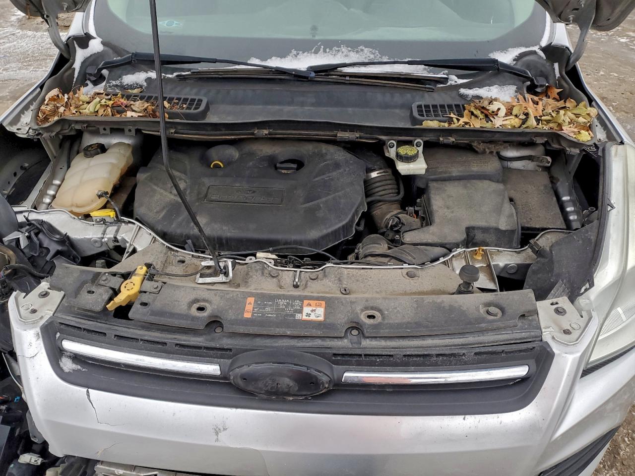 2015 FORD ESCAPE SE photo 12