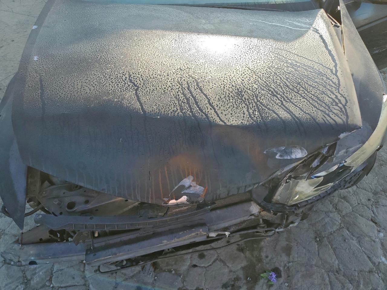 2008 HONDA ACCORD EXL photo 11
