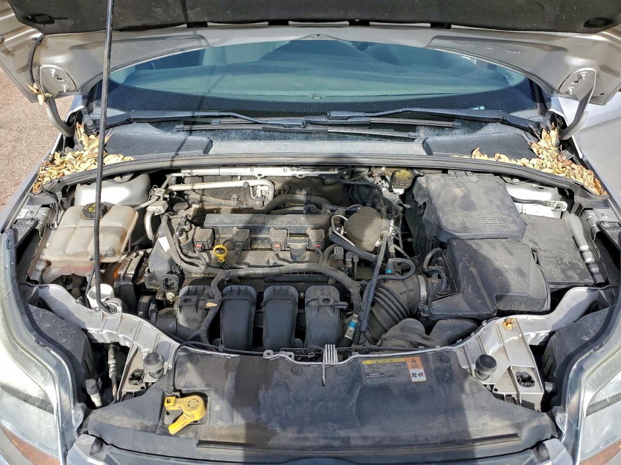 2013 FORD FOCUS SE photo 11