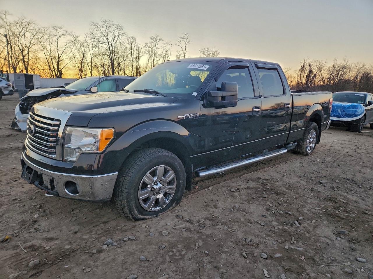 2010 FORD F150