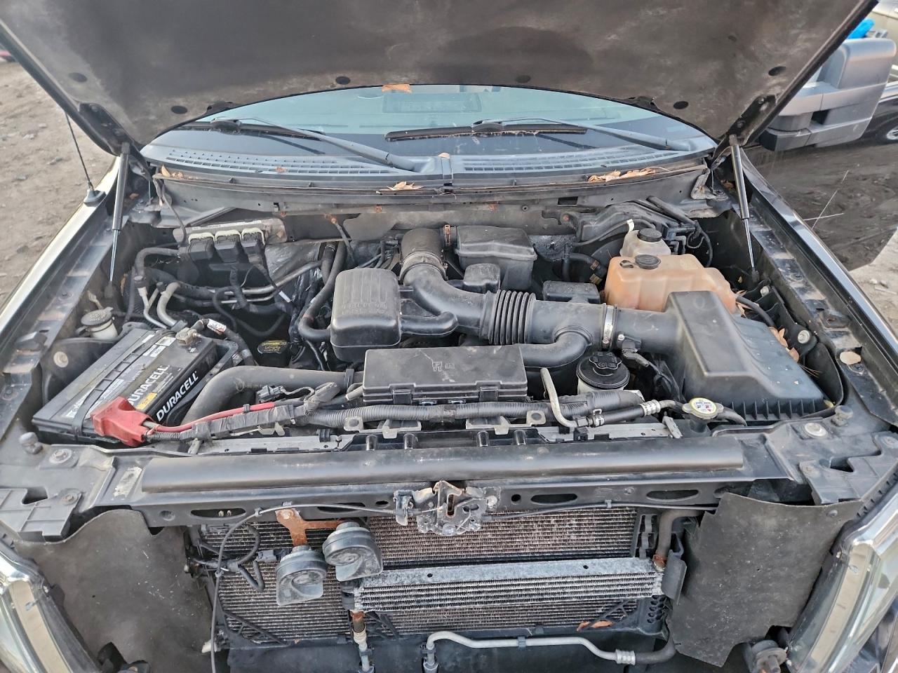 2010 FORD F150 SUPERCREW photo 11