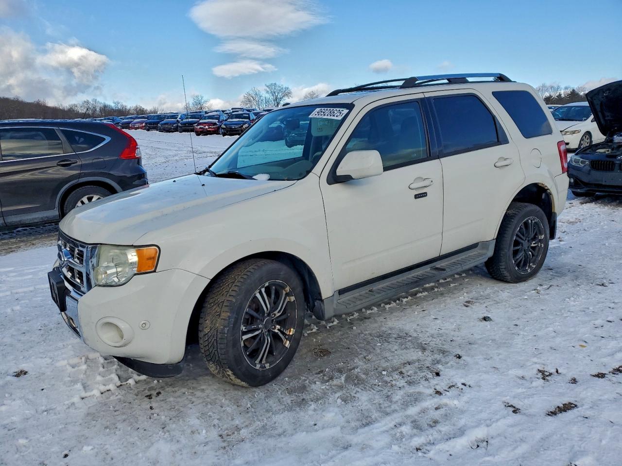 2010 FORD ESCAPE