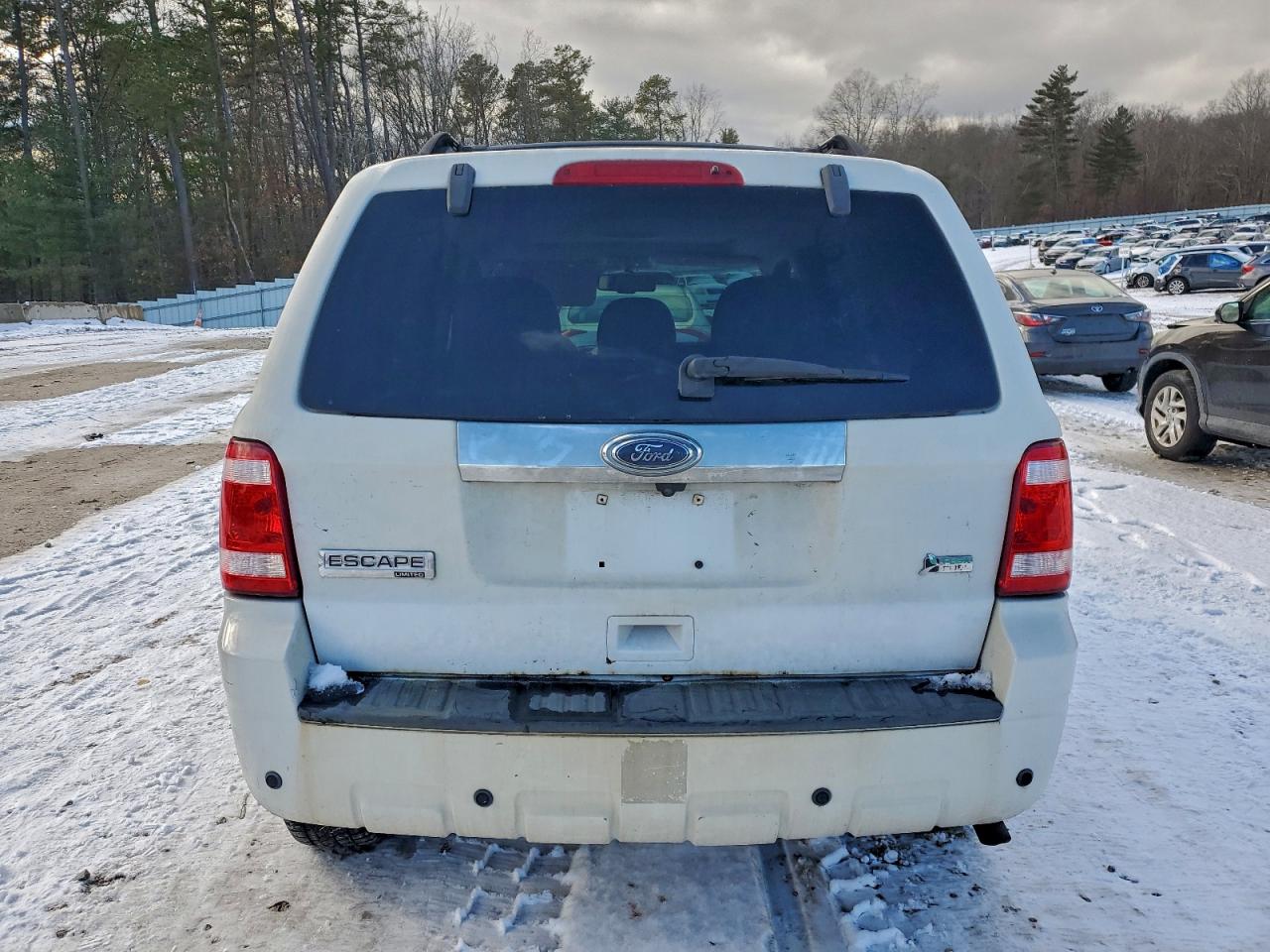 2010 FORD ESCAPE LIMITED photo 6