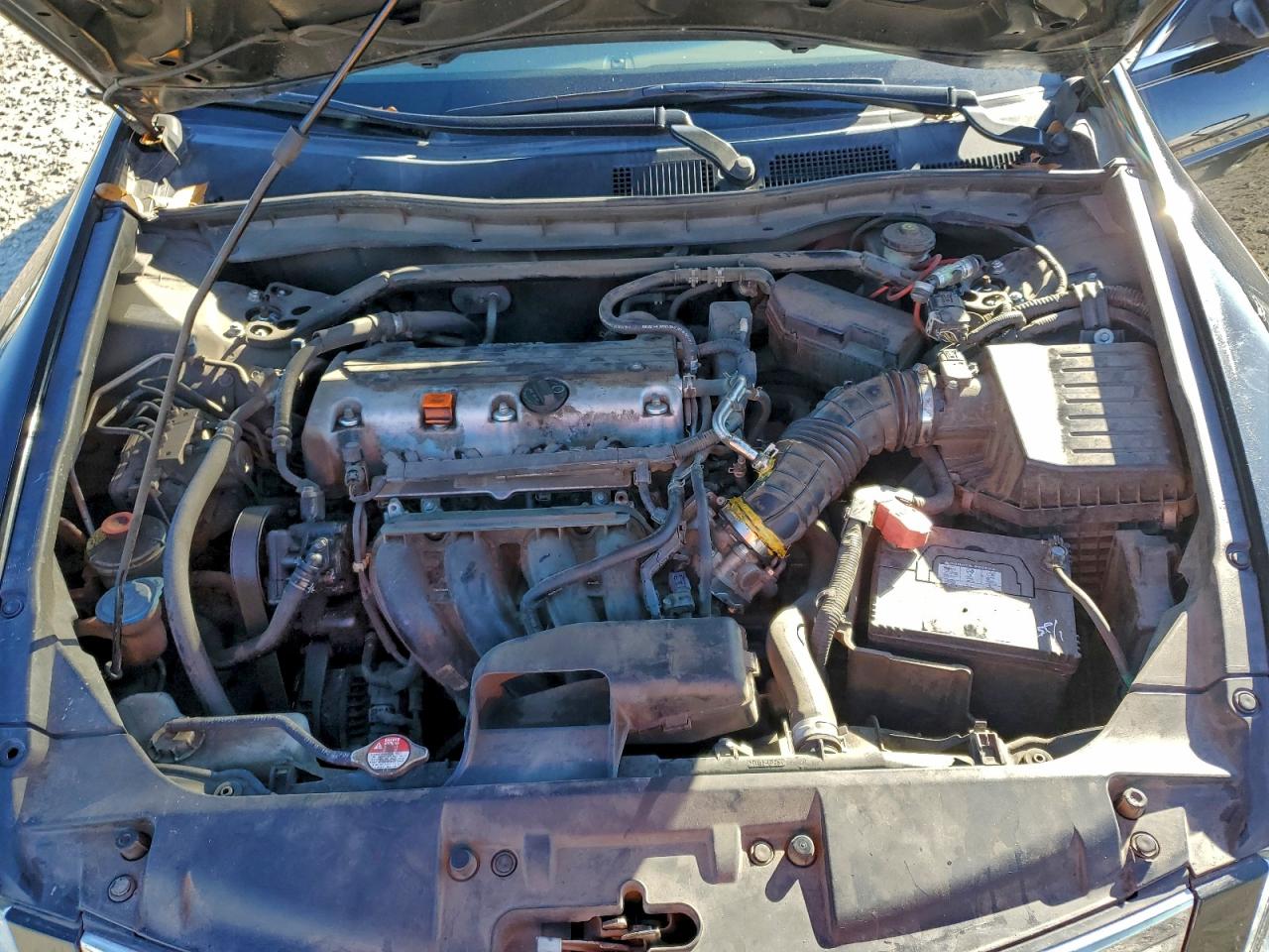 2010 HONDA ACCORD EXL photo 11