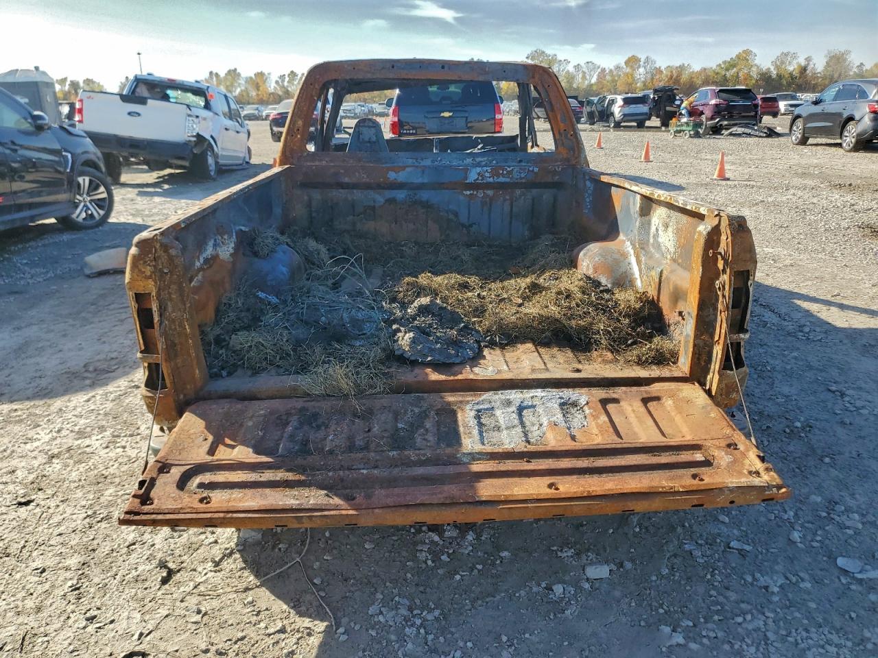 1999 FORD F150 photo 6