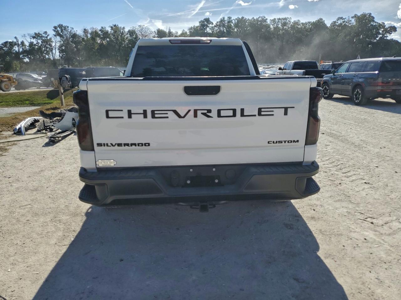 2020 CHEVROLET SILVERADO C1500 photo 6