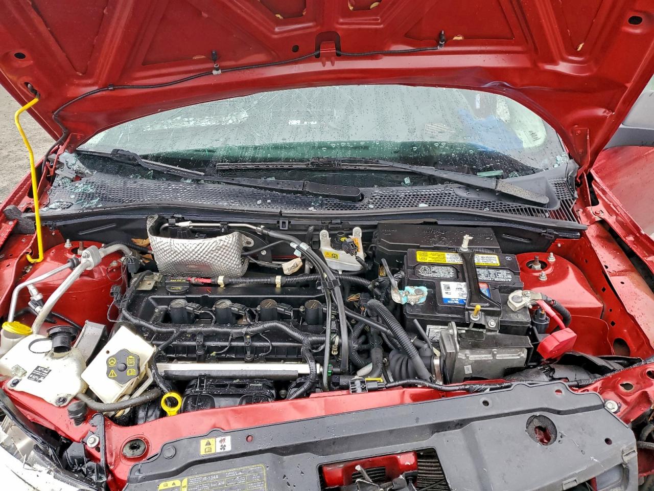 2009 FORD FOCUS SE photo 11