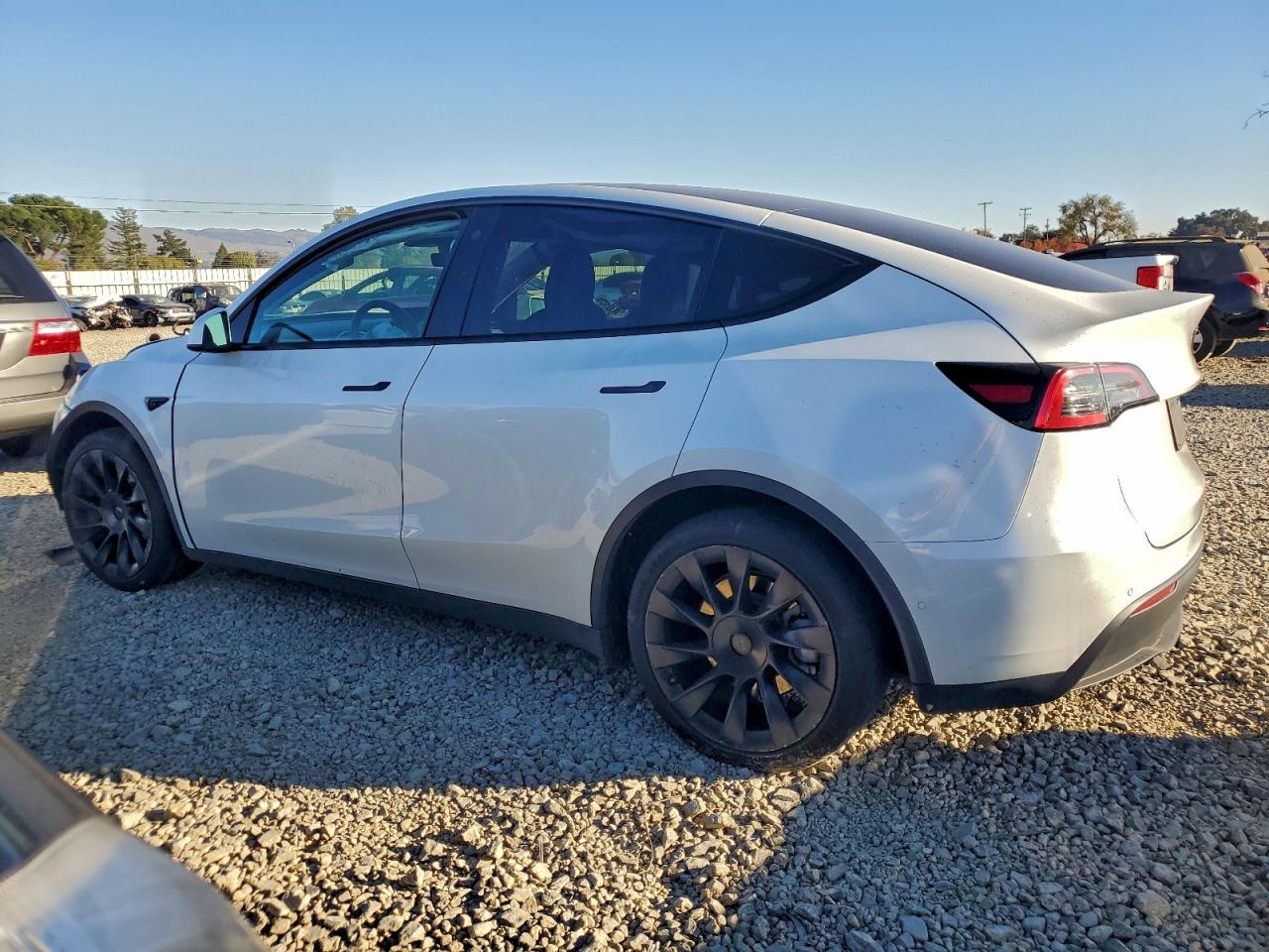 2021 TESLA MODEL Y photo 2