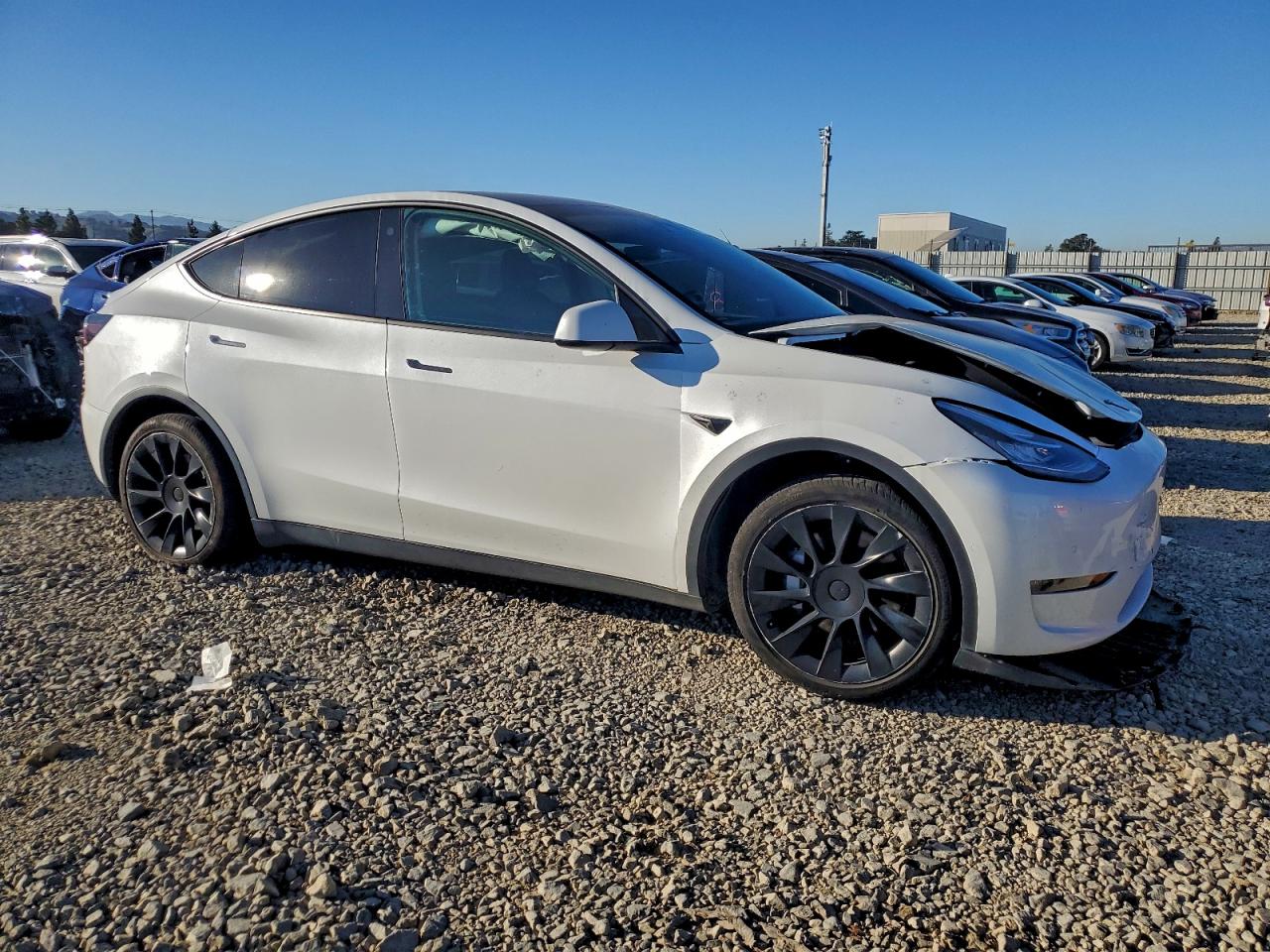 2021 TESLA MODEL Y photo 4