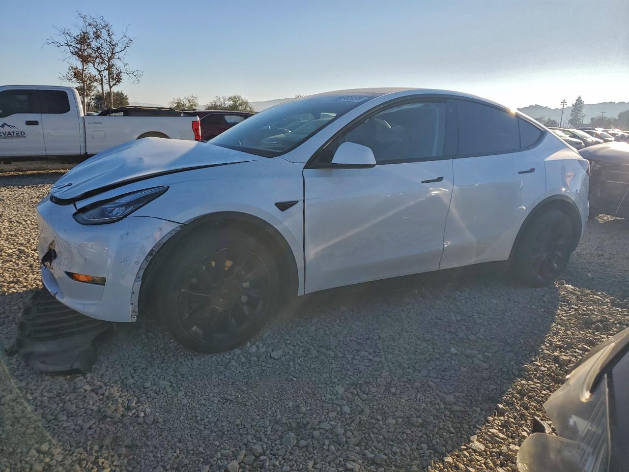 2021 TESLA MODEL Y