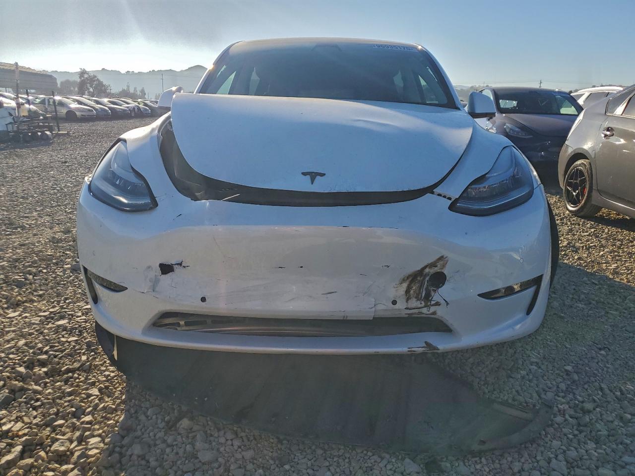 2021 TESLA MODEL Y photo 5