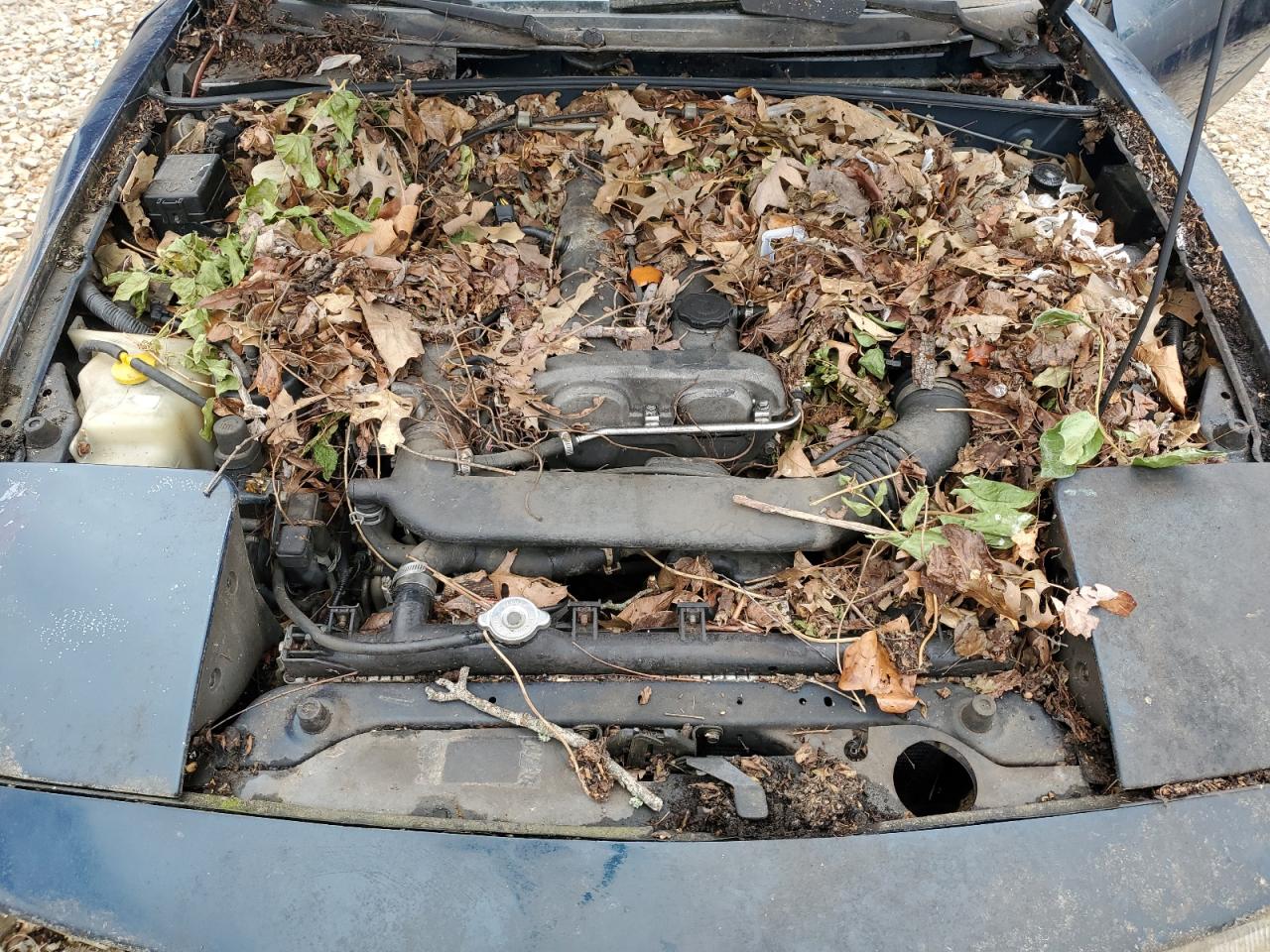 1995 MAZDA MX-5 MIATA photo 21