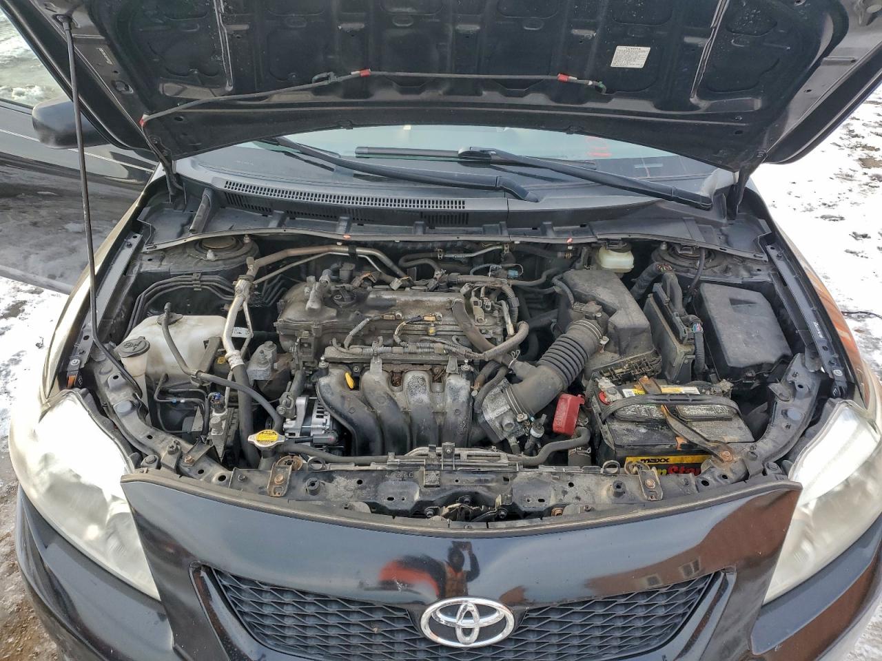2009 TOYOTA COROLLA BASE photo 11